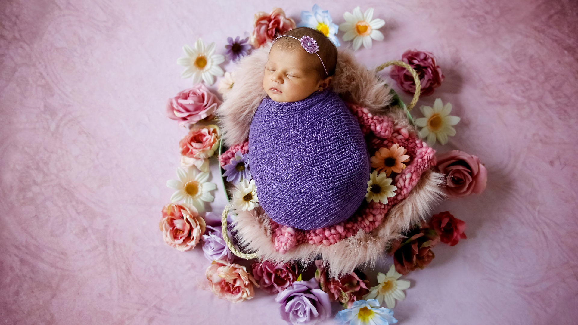 Foto de Paula Hoffmann 6