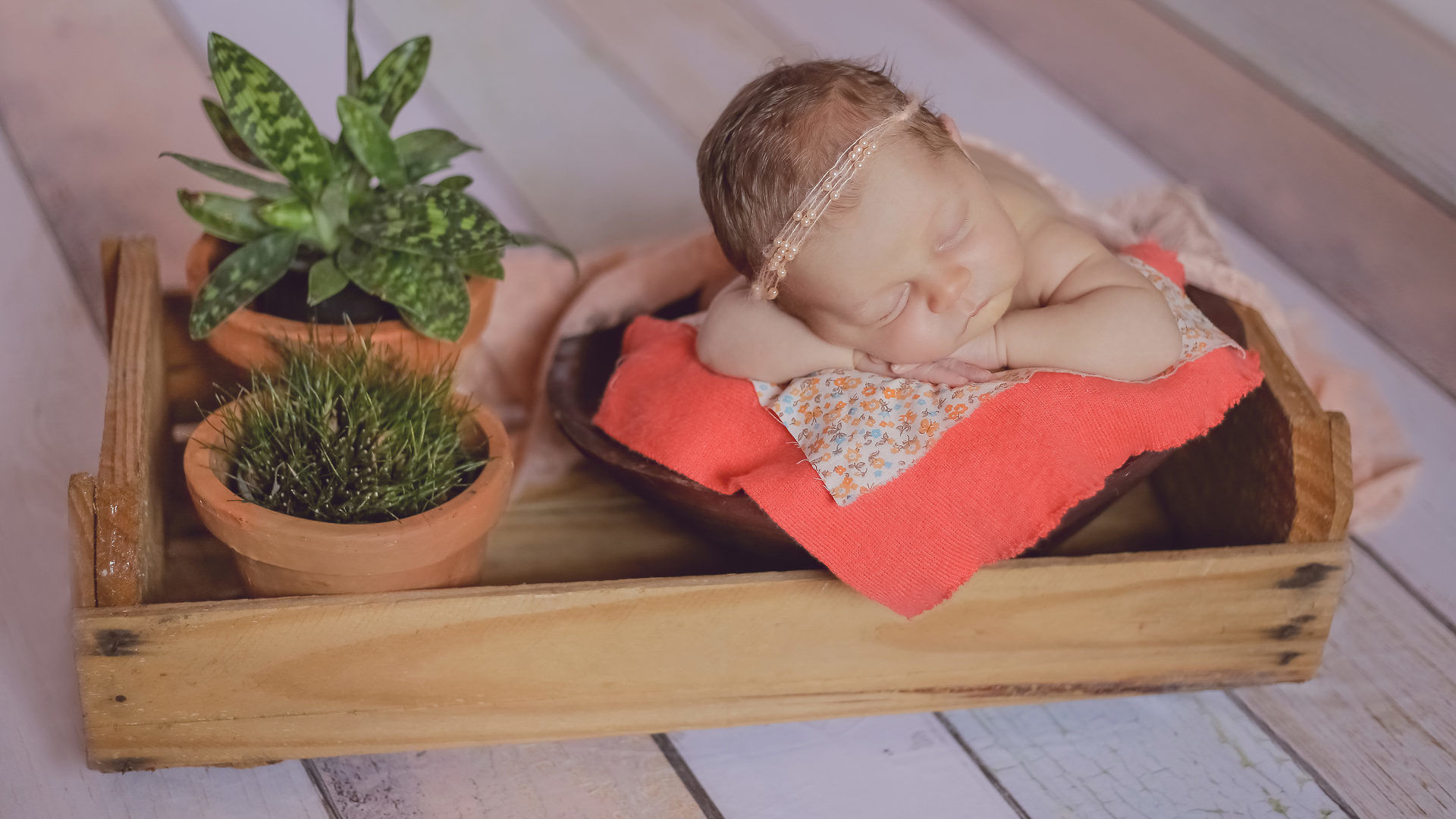 Foto de Paula Hoffmann 9